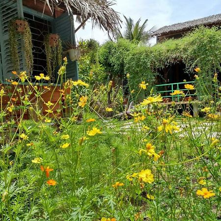 Bach Cuc Homestay Лонг Хай Екстериор снимка