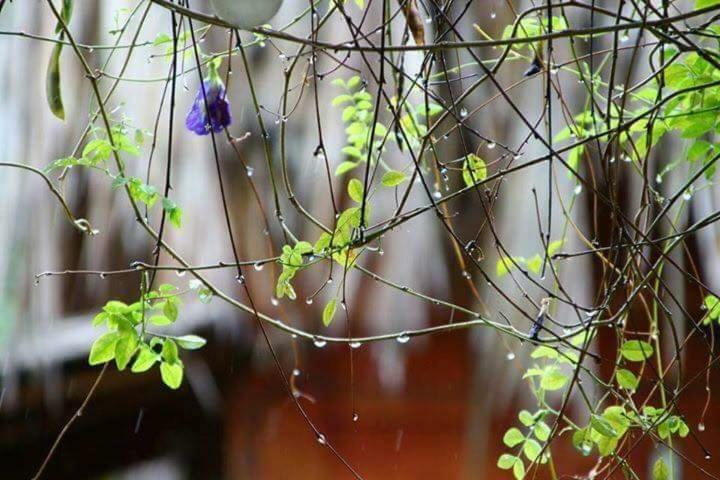 Bach Cuc Homestay Лонг Хай Екстериор снимка